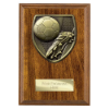 Cobra Plaque Football Boot & Ball Award Walnut 150mm