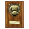 Cobra Plaque Football Shirt & Ball Award Walnut 150mm