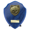 Cobra Shield Football Goal Keeper Award Azure Blue 150mm