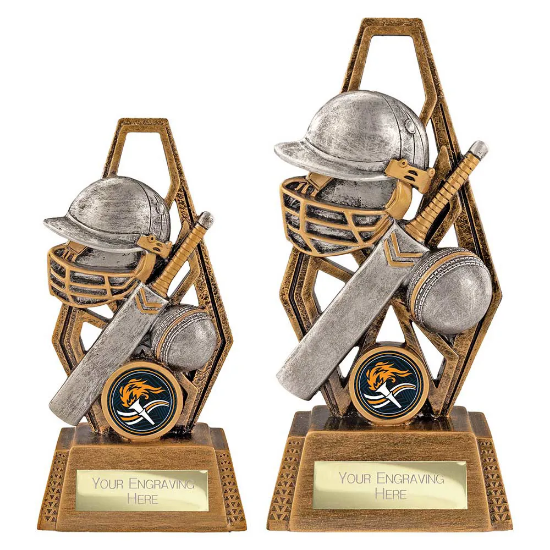 Immense Cricket Award