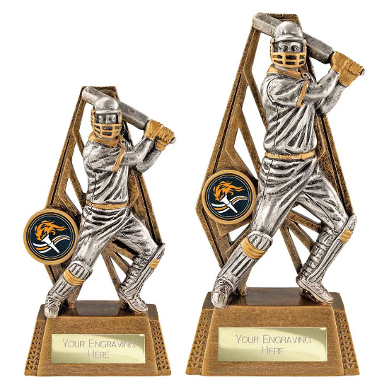 Immense Cricket Batsman Award
