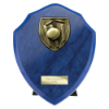 Cobra Shield Cricket Award Azure Blue 175mm