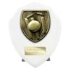 Cobra Shield Cricket Award Arctic White 125mm