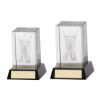 Conquest Cricket 3D Crystal Award