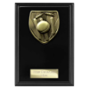 Cobra Plaque Cricket Award Epic Black 150mm