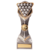 Falcon Pool/Snooker Award 210mm
