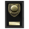 Cobra Plaque Pool Award Epic Black 125mm