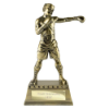 The Classic Boxing Award Metallic Antique Gold 220mm