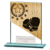 Mustang Boxing Jade Glass Award 110mm