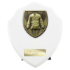 Cobra Shield Martial Arts Gee Award Arctic White 150mm