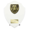 Cobra Shield Martial Arts Gee Award Arctic White 175mm