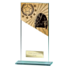 Mustang Martial Arts Jade Glass Award 180mm