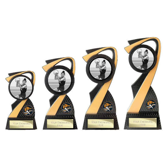 Mania Tower Netball Award