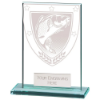 Millennium Fishing Jade Glass Award 80mm