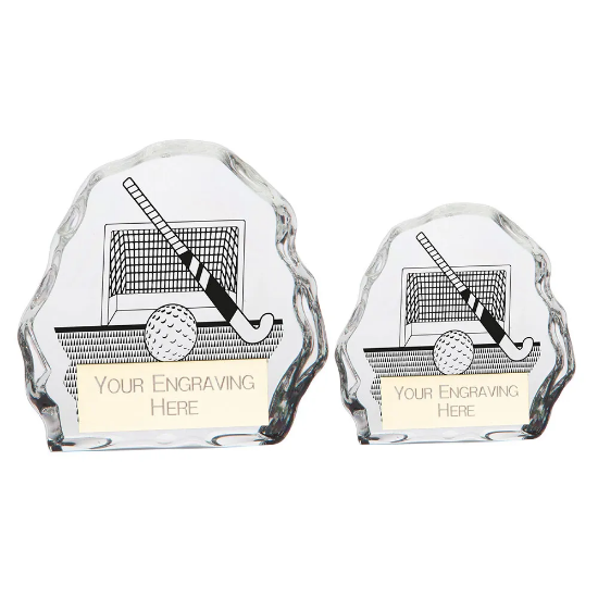 Mystique Hockey Glass Award