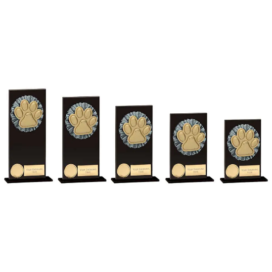 Euphoria Hero Dog Agility Glass Award