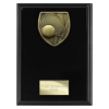 Cobra Plaque Tennis Award Epic Black 175mm