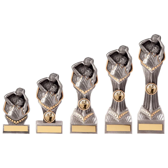 Falcon Basketball Award