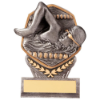 Falcon Swimming Male Plaque Award 105mm