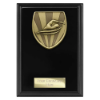 Cobra Plaque Swimming Award Epic Black 150mm