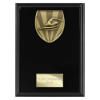 Cobra Plaque Swimming Award Epic Black 175mm