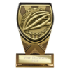 Fusion Cobra Cycling Plaque Award Black & Gold 110mm