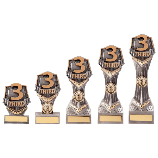 Falcon Third Place Award