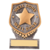 Falcon Achievement Well Done Plaque Award 105mm