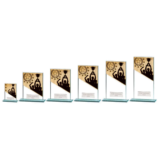 Mustang Achievement Jade Glass Award