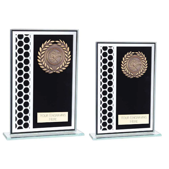 Titanium Multisport Glass Award Black