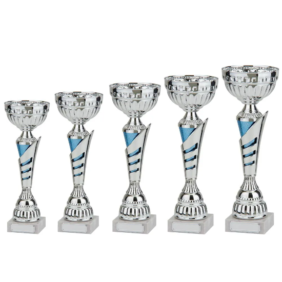Vanquish Silver & Blue Cup