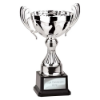 Endeavour Cup Silver 230mm