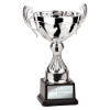Endeavour Cup Silver 260mm