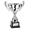 Endeavour Cup Silver 315mm