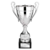 Trojan Cup Silver 335mm