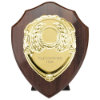 Reward Shield & Front Cracked Cherry & Gold 150mm