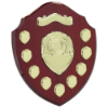 Mountbatten Annual Shield Rosewood & Gold 9yr 305mm
