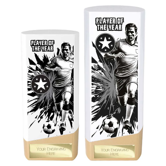 Prime Heavyweight Player of the year