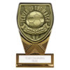 Fusion Cobra Player of Match Plaque Award Black & Gold 110mm