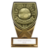 Fusion Cobra Top Scorer Plaque Award Black & Gold 110mm