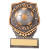 Falcon Football Manager's Player Plaque Award 105mm