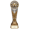 Ikon Tower Managers Player Award Antique Silver & Gold 225mm