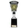 Cobra Star Cup Player of Match Silver & Black 255mm