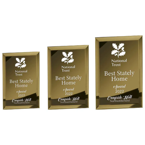 Mirage Gold Mirrored Glass Plaque