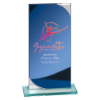 Seismic Multisport Mirror Glass Award Blue & Silver 190mm (8mm Thick)