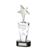 Chicago Crystal & Chrome Award 250mm (55mm Width)