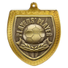 Cobra Golf Shield Medal Gold 75mm