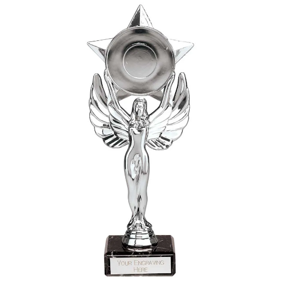 Victory Star Multisport Trophy Silver 210mm