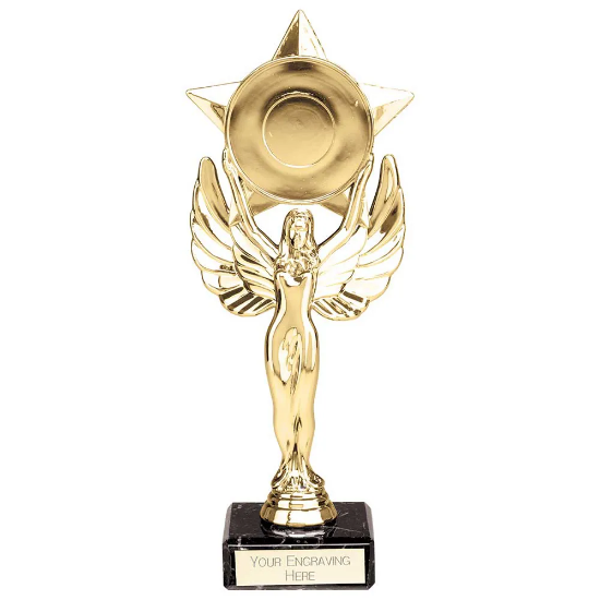 Victory Star Multisport Trophy Gold 210mm