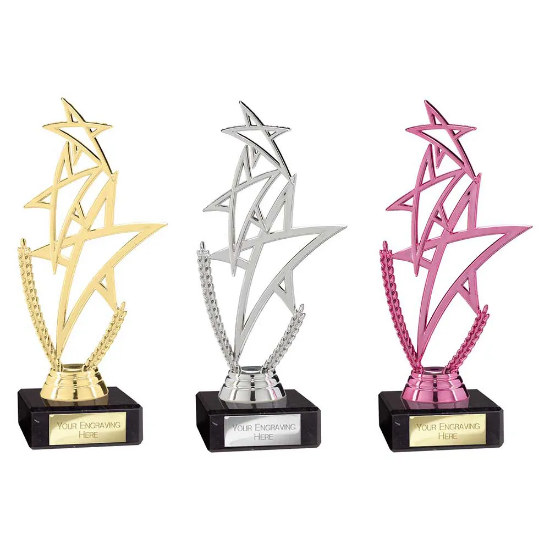 Rising Star Multisport Trophy